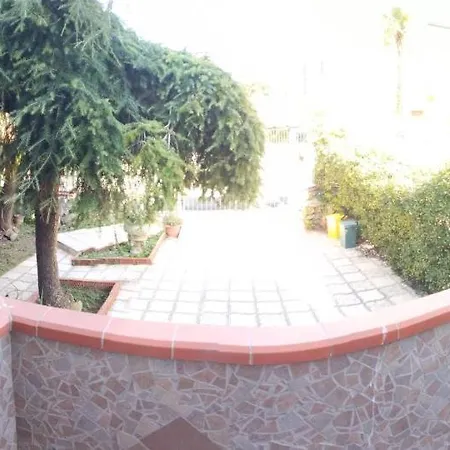 Rosa פסטום